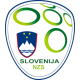Slovenia trøye